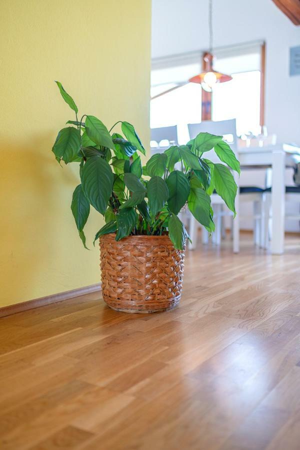 Apartman Skroza Vodice Exterior photo